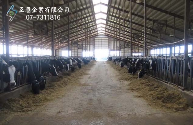 乳牛養殖場_隔熱 1