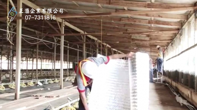雞隻養殖場_隔熱 4