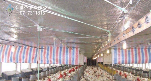 雞隻養殖場_隔熱 5
