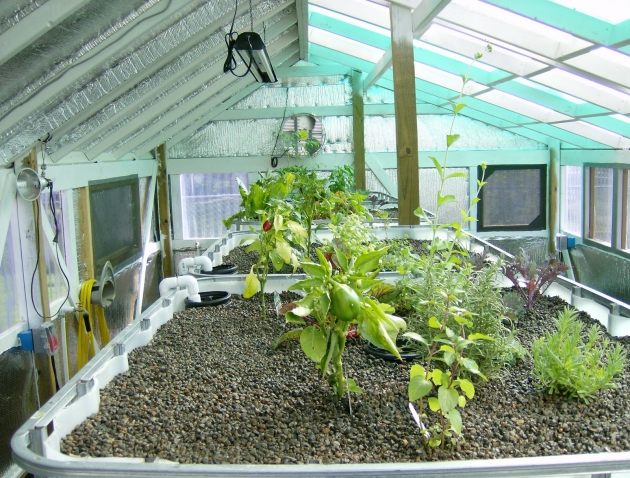 溫室植栽隔熱_保溫 1