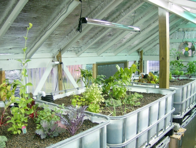 溫室植栽隔熱_保溫 2