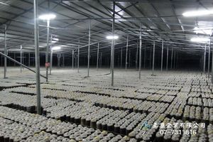 菇類溫室種殖_隔熱保溫