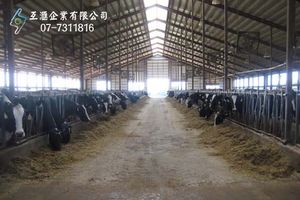 乳牛養殖場_隔熱
